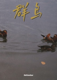 群鸟飞过湖面