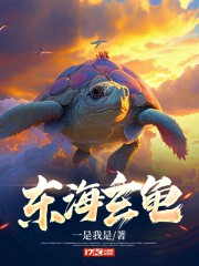 东海神龟是谁